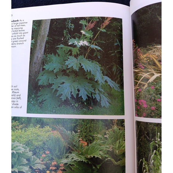 A–Z of Perennials – Reader's Digest Successful Gardening Series 1990, Hardcover - Picture 10 of 14